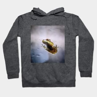 Froggy Hoodie